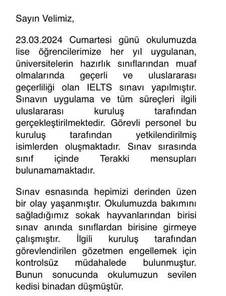 Öğrencilerin gözü önünde kediyi 5. kattan itti. Kedi Eros'un yankısı sürerken. Bu nasıl hoca - Resim: 6